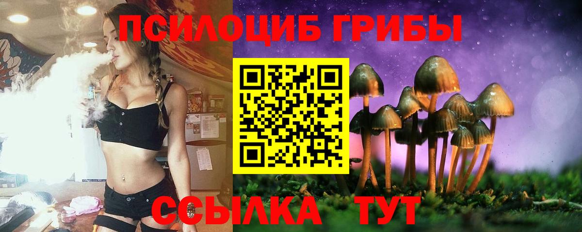 Узловая  Галлюциногенные грибы Psilocybine cubensis  Псилоцибиновые грибы мухоморы  Вход с VPN 